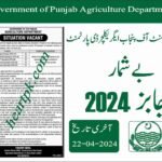 Government of Punjab Agriculture Department Jobs 2024